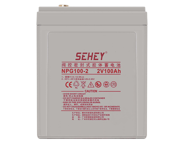 西力2V100AH