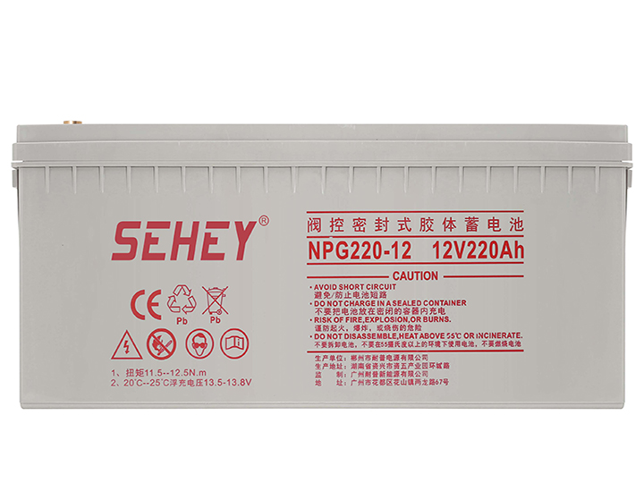 西力12V220AH