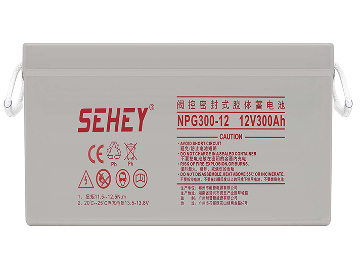 西力12V300AH